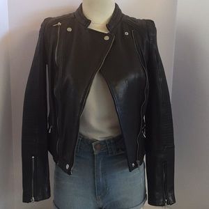 Zara Trafaluc Authentic Leather Biker Jacket
